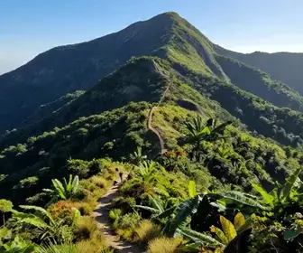 Descubra a Serra do Guararu: Natureza e Trilhas no Guarujá