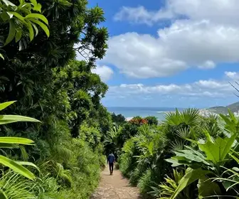 Explore a Trilha da Fortaleza da Barra Grande no Guarujá