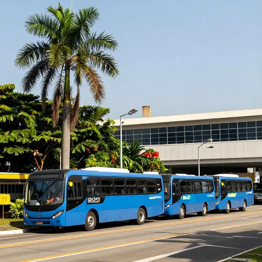 IC Transportes Guarujá: Sua Melhor Opção para Transporte na Região