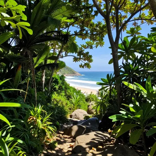 Trilha até Praia Branca