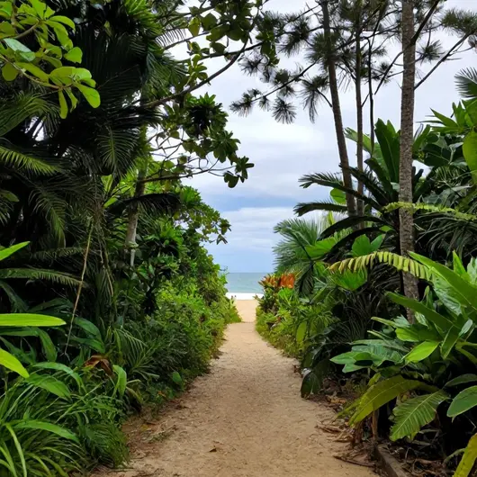 Trilha das Praias Selvagens do Guarujá Trilha das Praias Selvagens do Guarujá